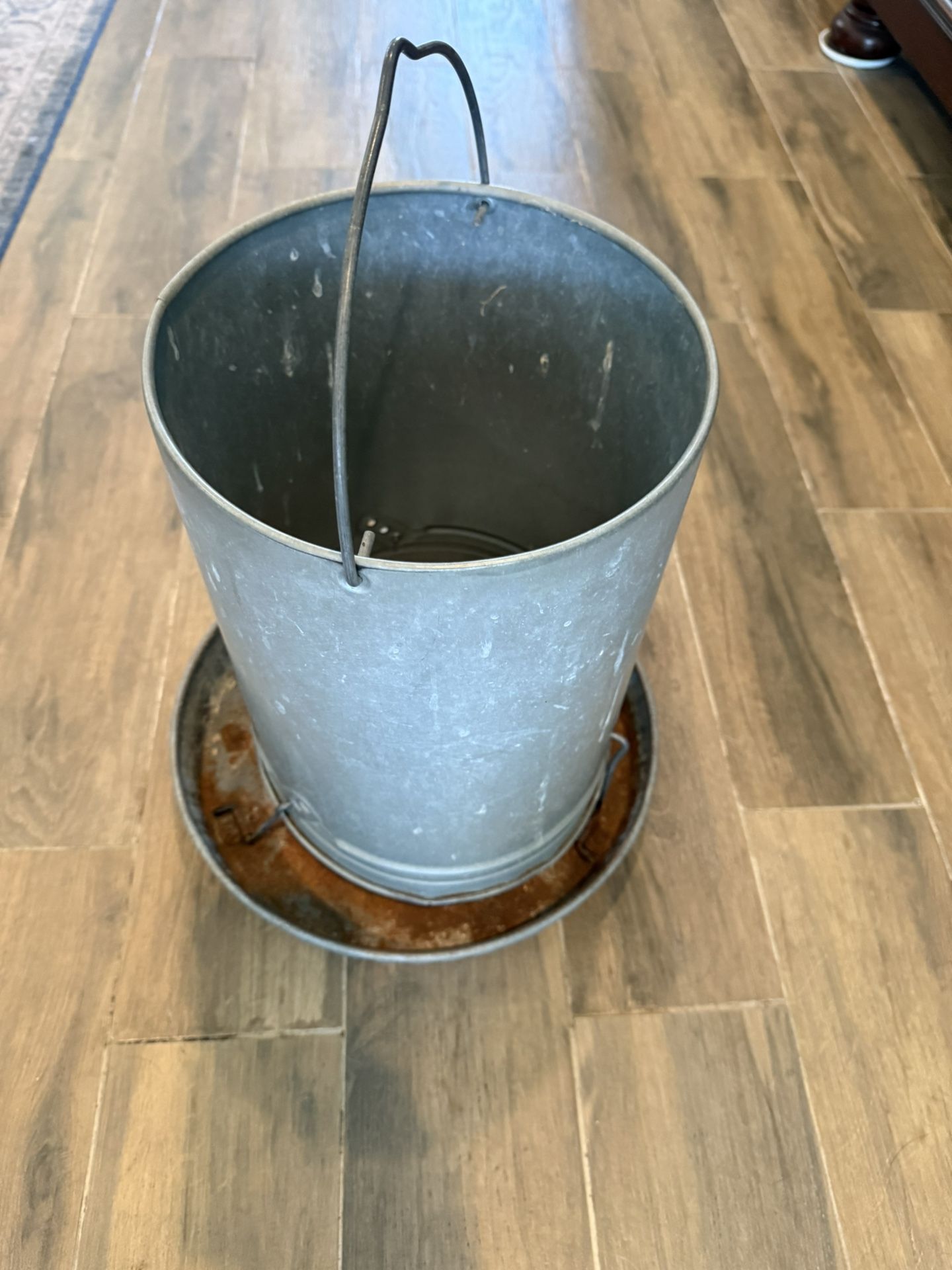 Metal Chicken Feeder - Used