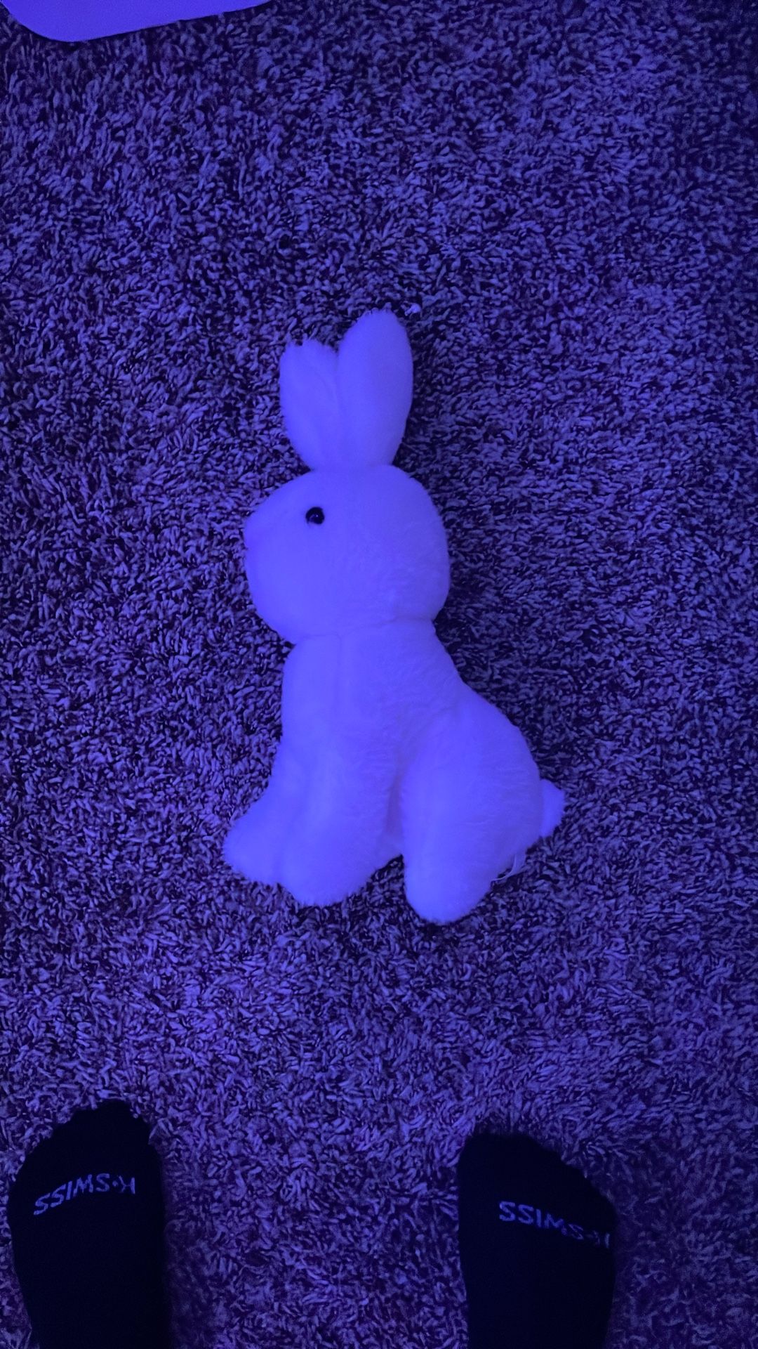 White Rabbit