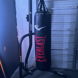 Everlast Punching Bad And Speed Bag 