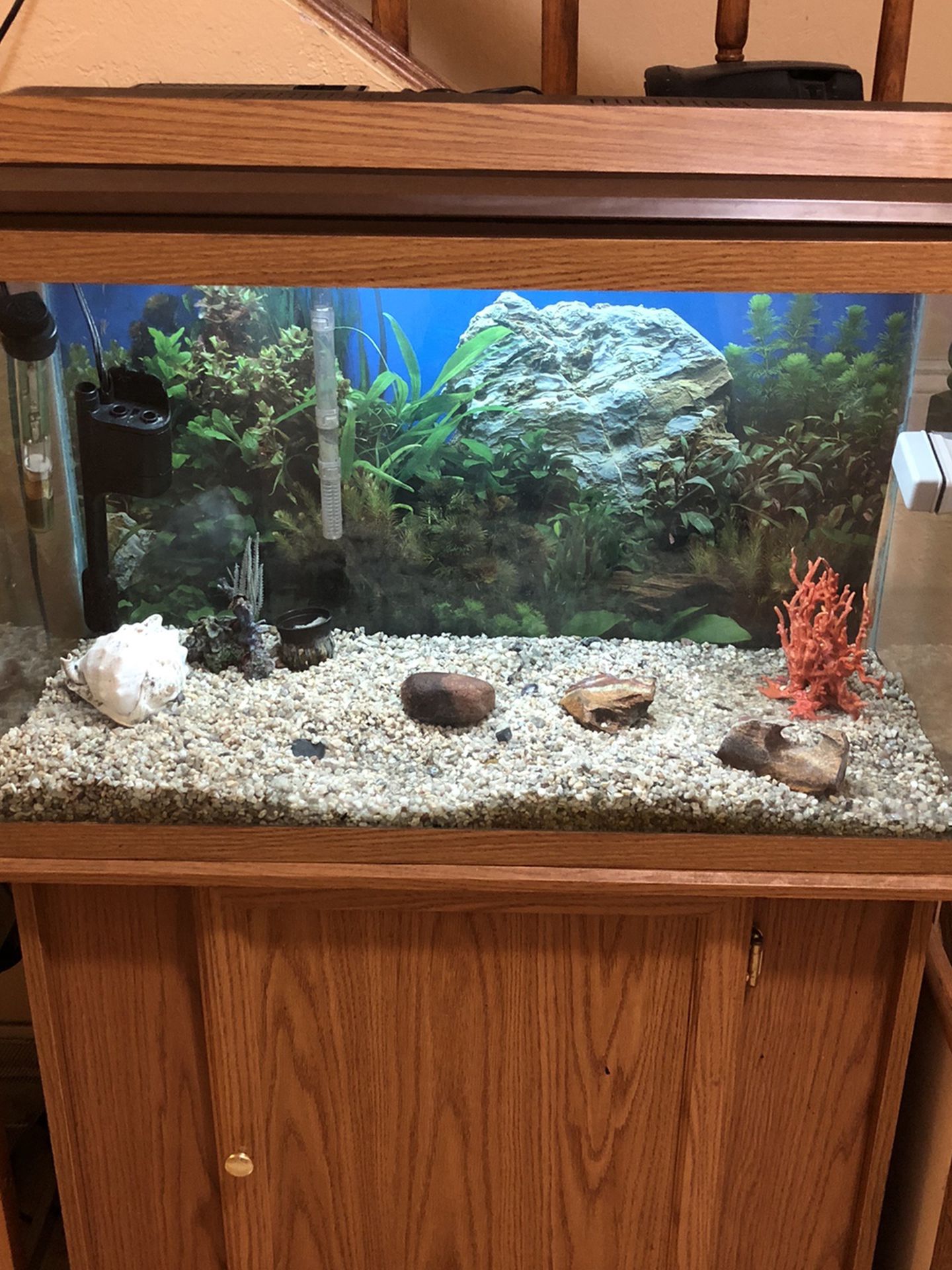 Fish Tank w/ Cabinet Stand
