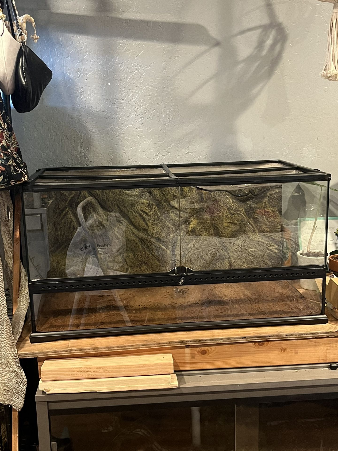reptile terrarium