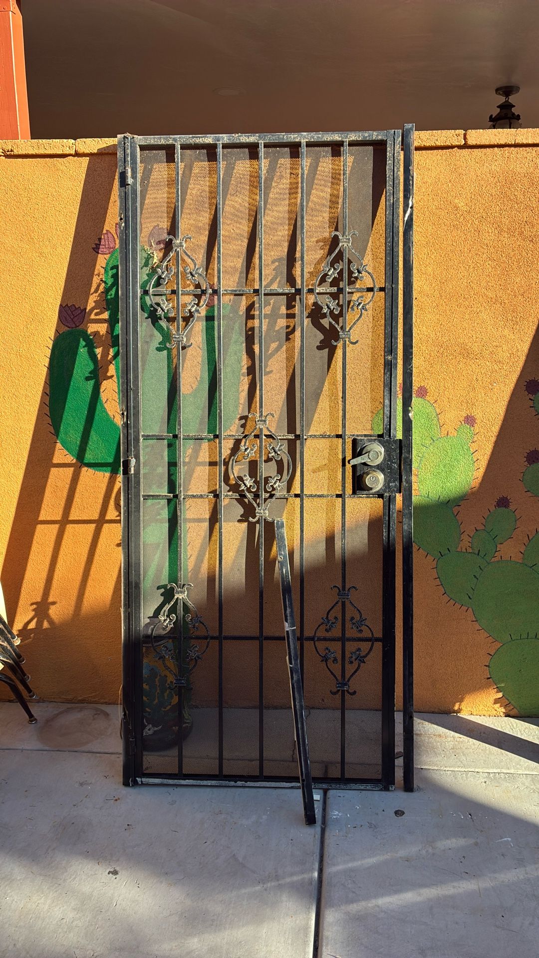 32x 80 Security Door