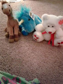 Stuffed animals