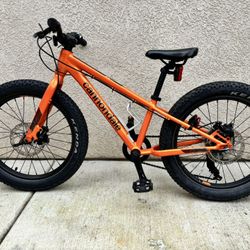 Kids Trail Plus 20 Bike . $599 Retail Price