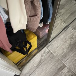 Closer Sliding Mirror Door 