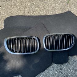 Bmw 3 Series Kidney Grille