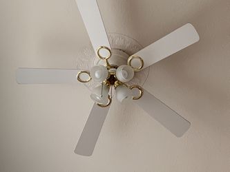 Beautiful Ceiling Fan With LED Lights
