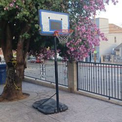 Basketball Court 