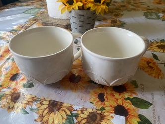 Princess House Marbella Mugs - Set of 2
