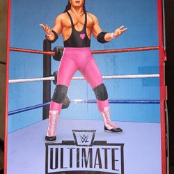Ultimate Edition Coliseum Collection Hart Foundation Action Figure 2-Pack