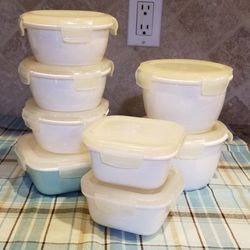 Williams Sonoma Snapware Bundles (Only Used Couple Container New)