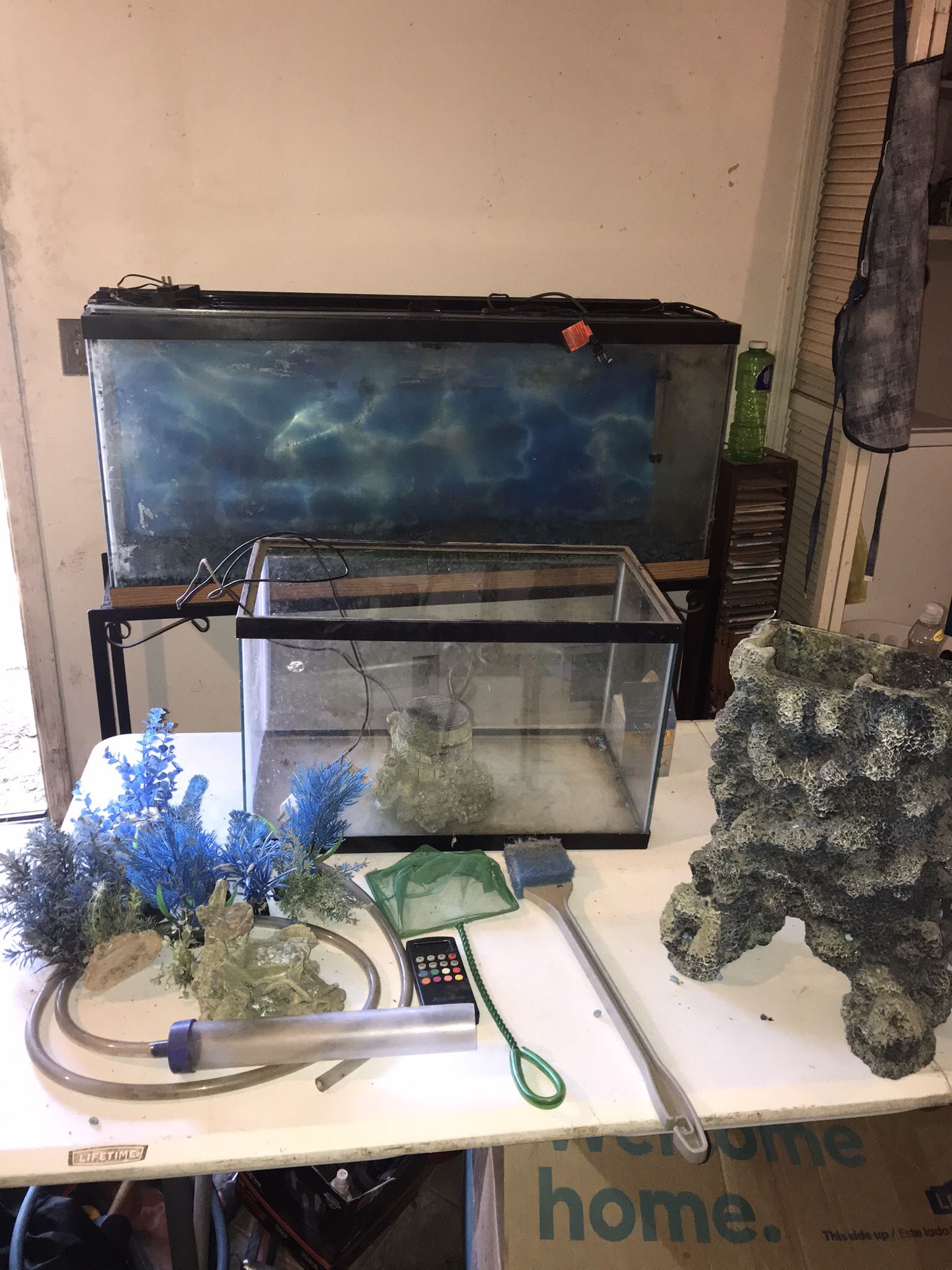 (2) Aquariums / Fish Tank 10 Gallon & 55 Gallon With Everything In Picture 