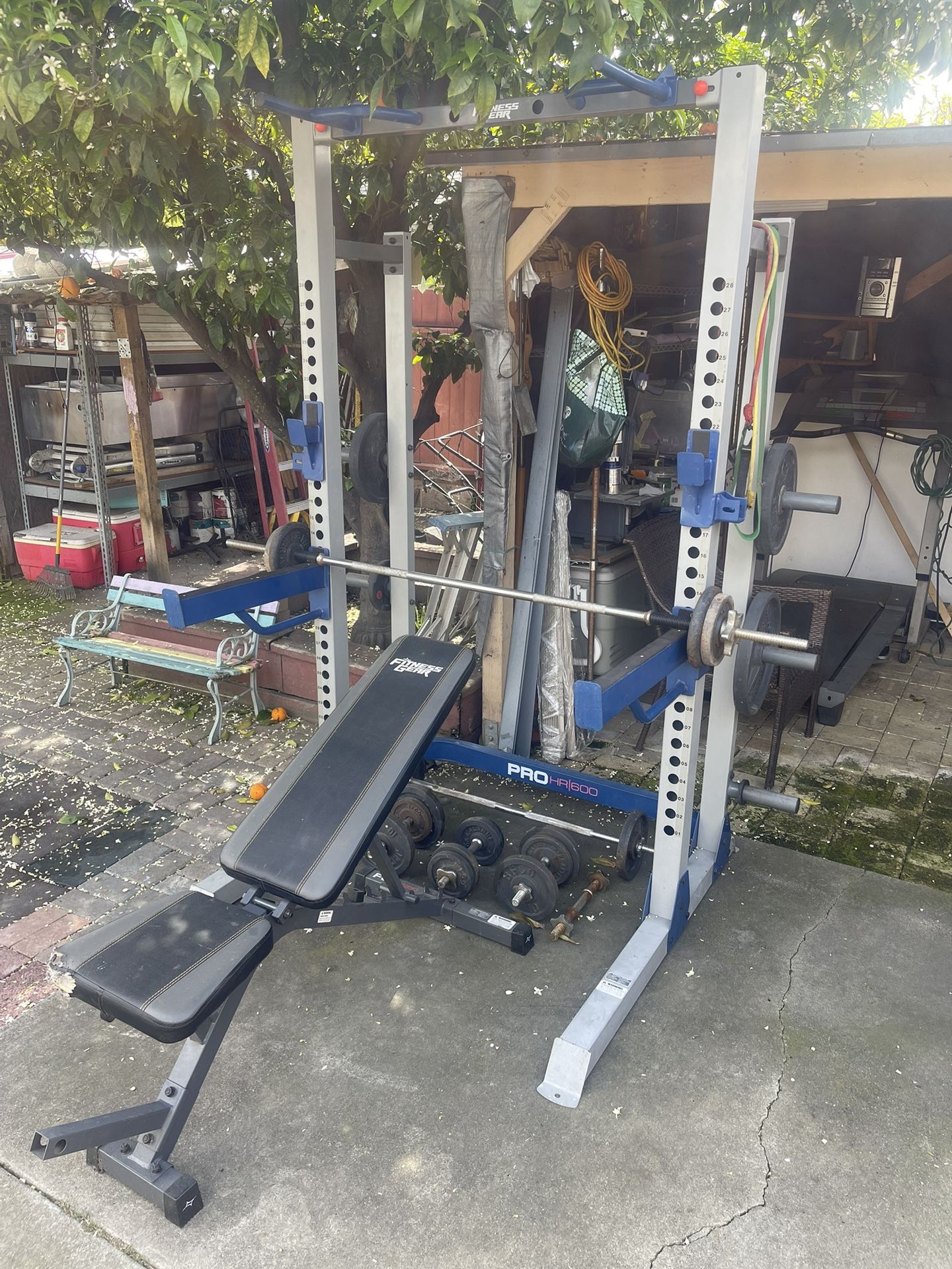 Weight Rack, Bench, Weights And More