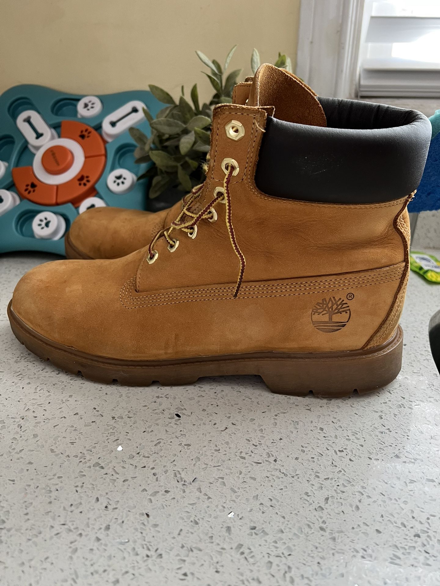 6-Inch Timberland Boots