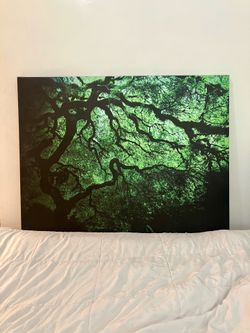 Japanese Dark Tree Gallery Wrapped Canvas - 36 x 48