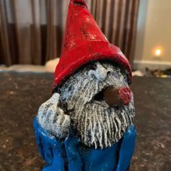 The Middle Finger Gnome