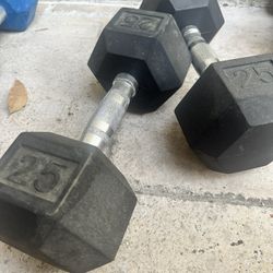 25 lbs Dumbbell x2