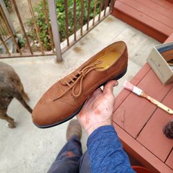 Bostonian Zodiac Leather Shoes 