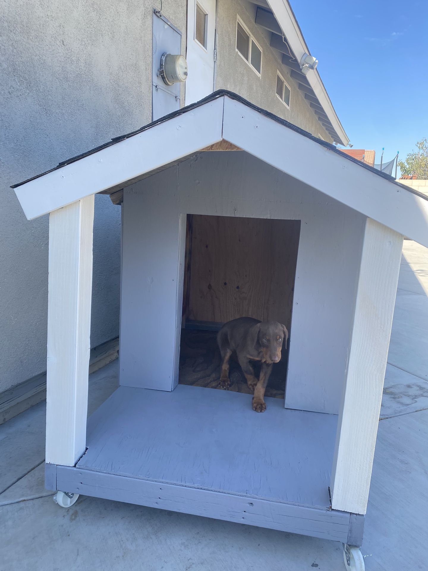 Dog House