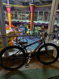 Fast ripper 29 inch