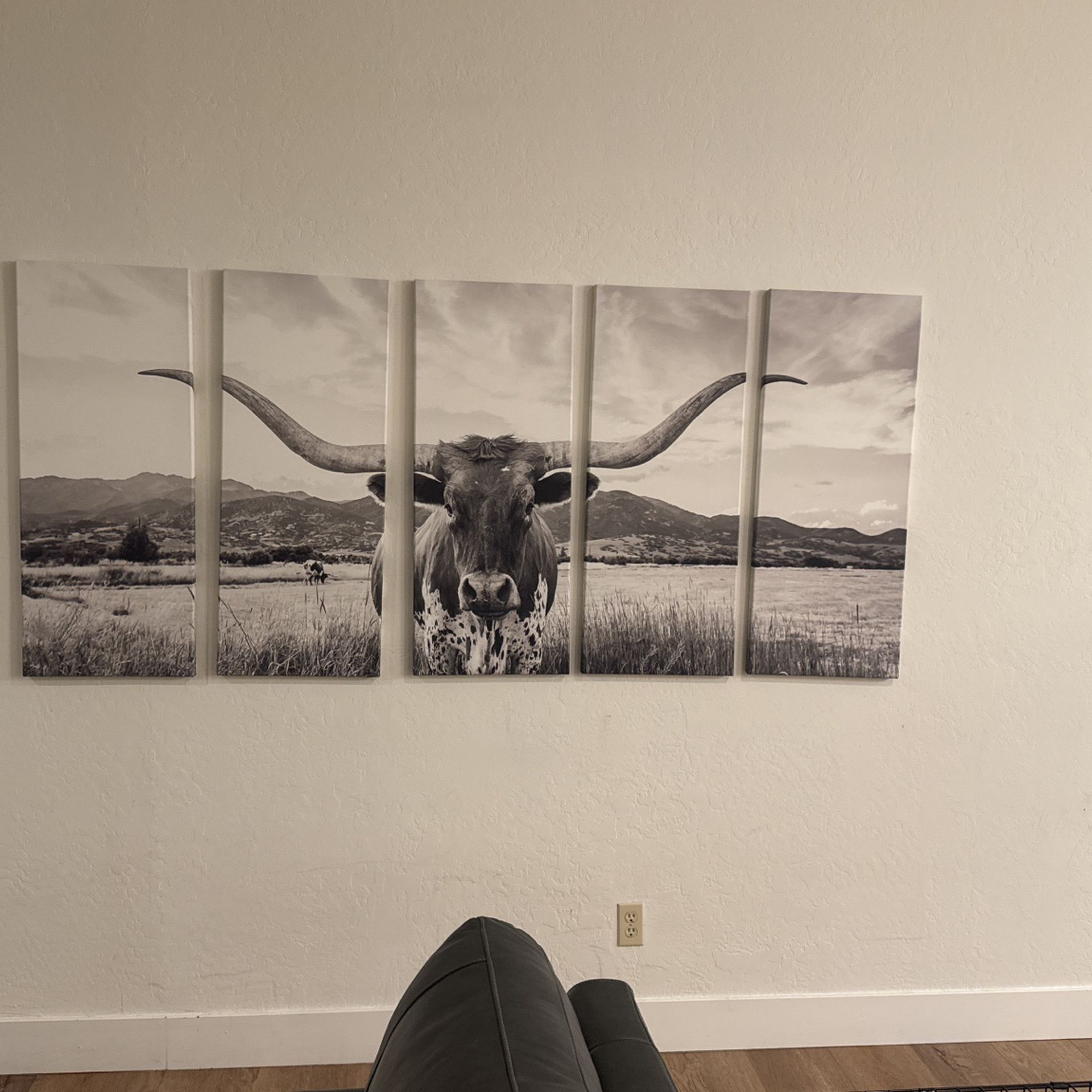 Wall Art 5 Pieces Long Horn Cow Cattle Country Western 