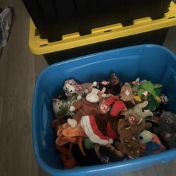 Bin Full Of Beanie Babies (60) great condition w/tags