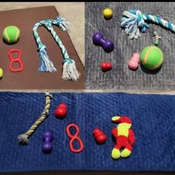 Large Dog Lot – Beds, Weighted Covers, Toys, Rope, KONGs, and Food Bin Big Dog