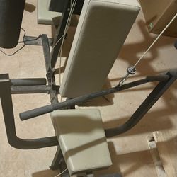 Weight Center Curls, Butterfly, Arm Raise, Pulley System 