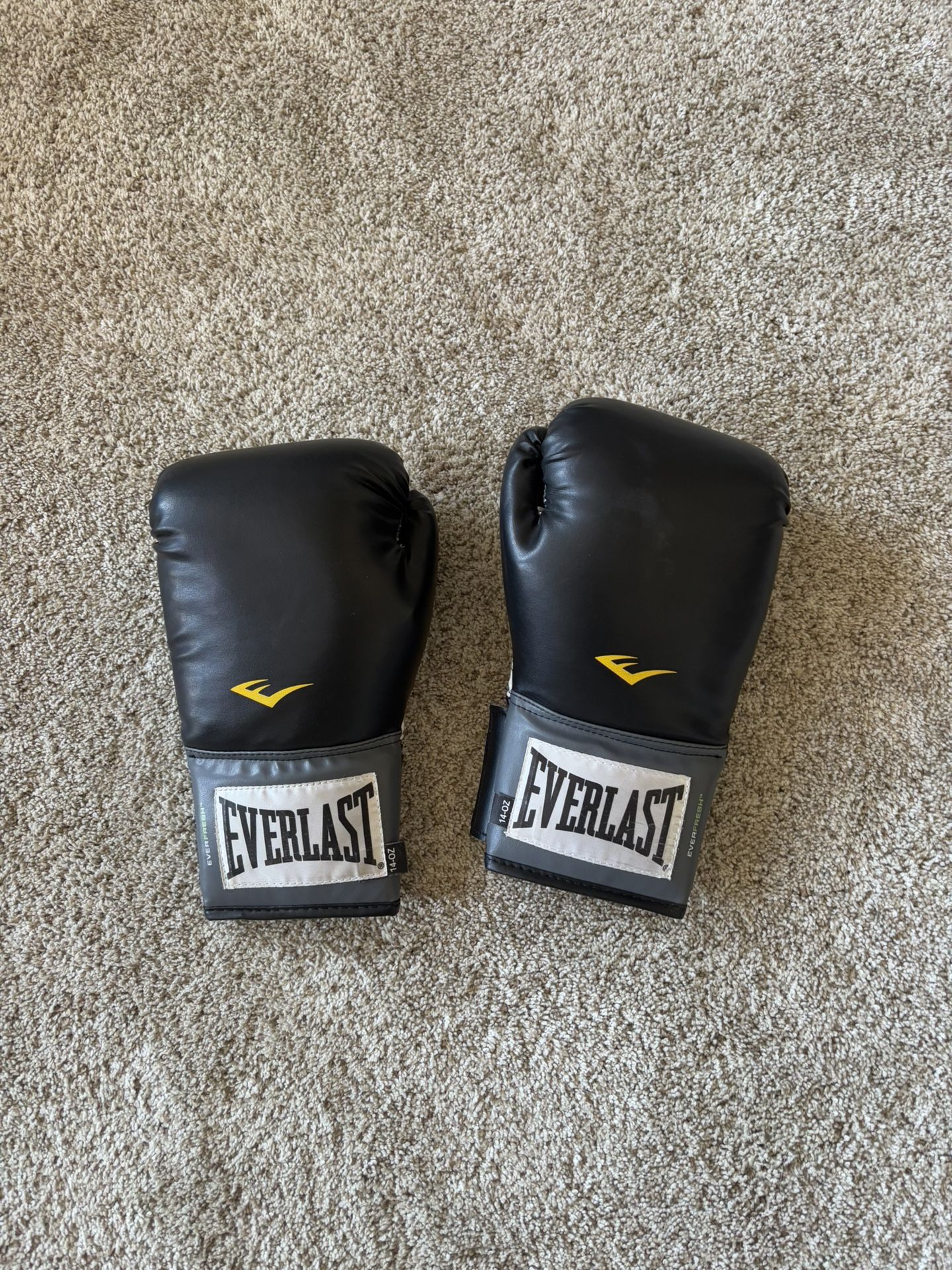 Everlast Boxing Glove 14 Oz