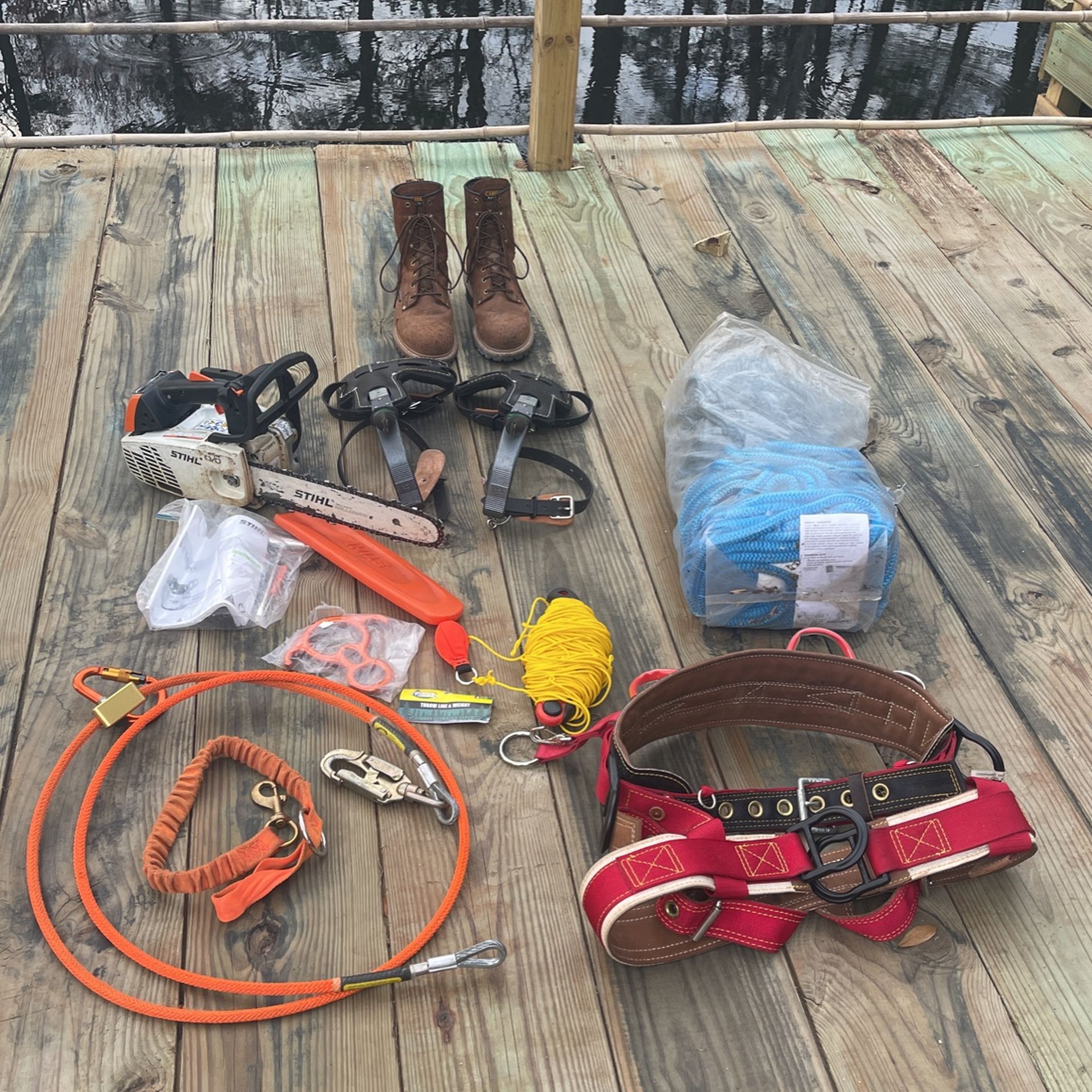 Start Your Own Tree Climbing Business