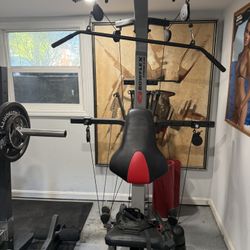 BowFlex Xtreme 2 SE Home Gym