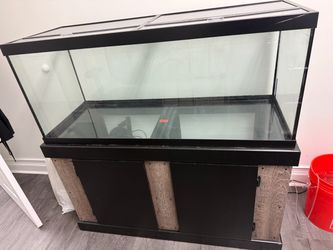 75 gallon fish tank