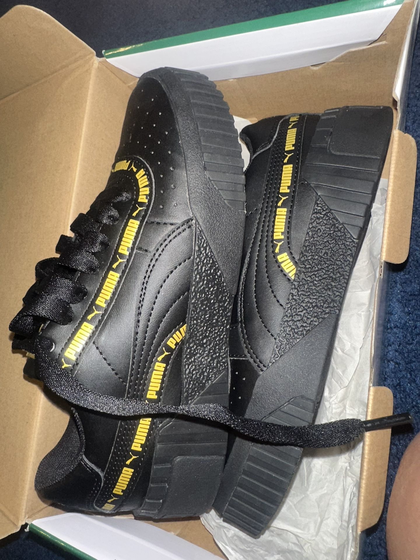 pumas