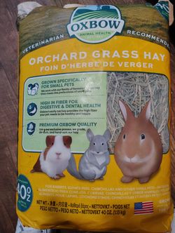 Grass Hzy Small Animals