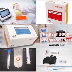 Canine Reproduction | French Bulldog Stud