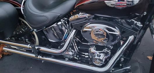 2015 Harley Division Soft Tail
