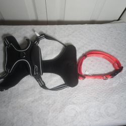 Dog Collar Harness And Bed New Never Used