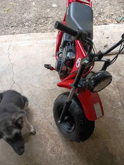 Mini bike