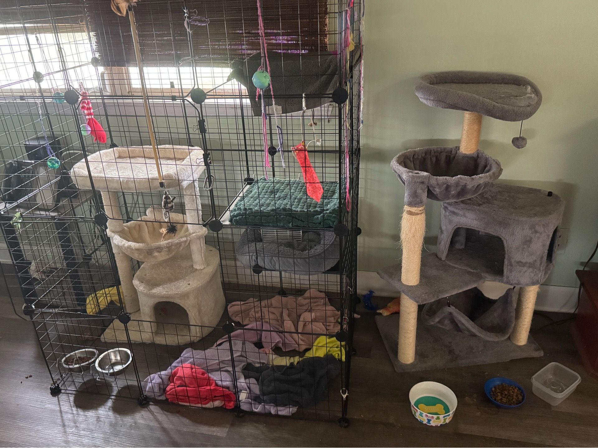 Huge Cat Supply Bundle – Cat Enclosure, Cat Trees, Beds, Toys & More