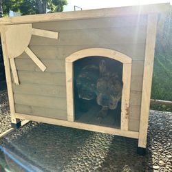 Dog House 