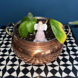 Copper Planter With Plant