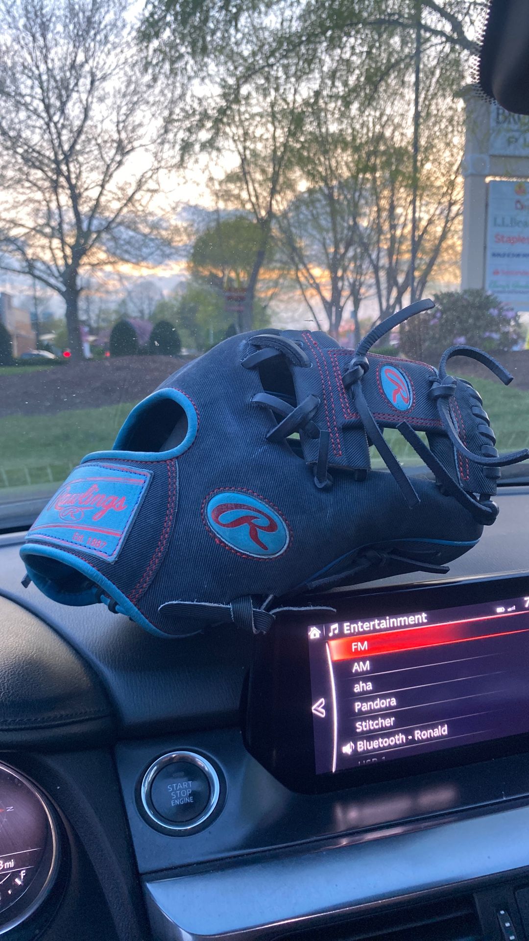 Baseball Glove