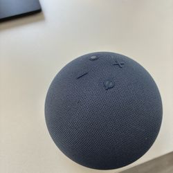 Amazon Echo Dot