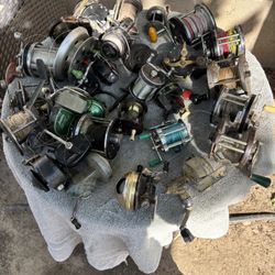 Fishing Line And Reels