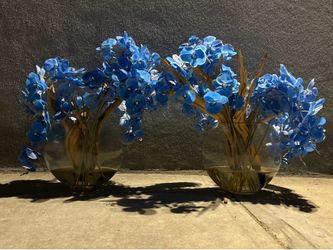 Orchids