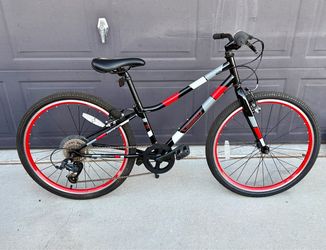 Ethos Guardian 24in bike