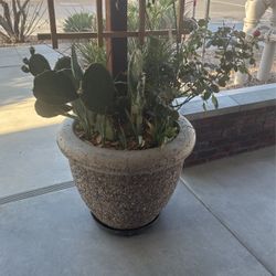 Concrete Pot W Flowers