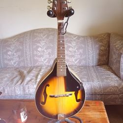 Rogue Mandolin 