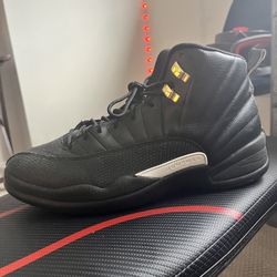 Air Jordan 12’s