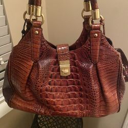 Brown Brahmin 